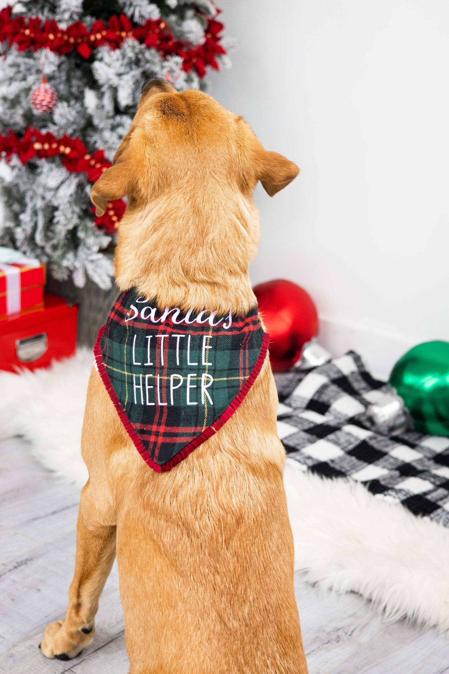 Christmas Dog Bandana - Santa's Little Helper M/L