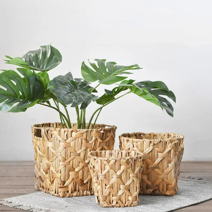 Water Hyacinth Baskets - 3 sizes