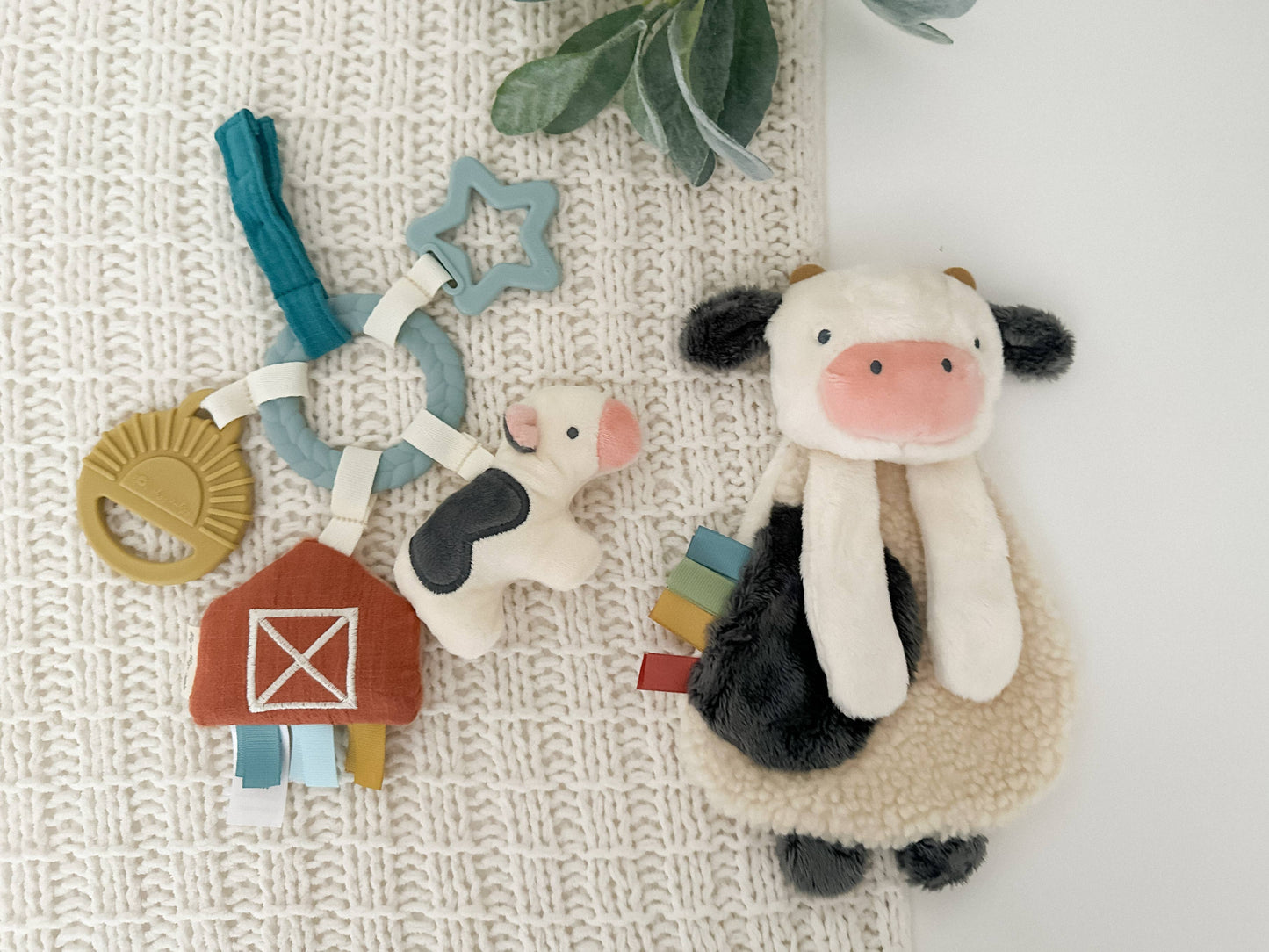 Gift Set - Bitzy Busy