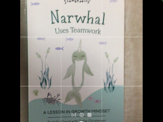 Narwhal book only - teamwork