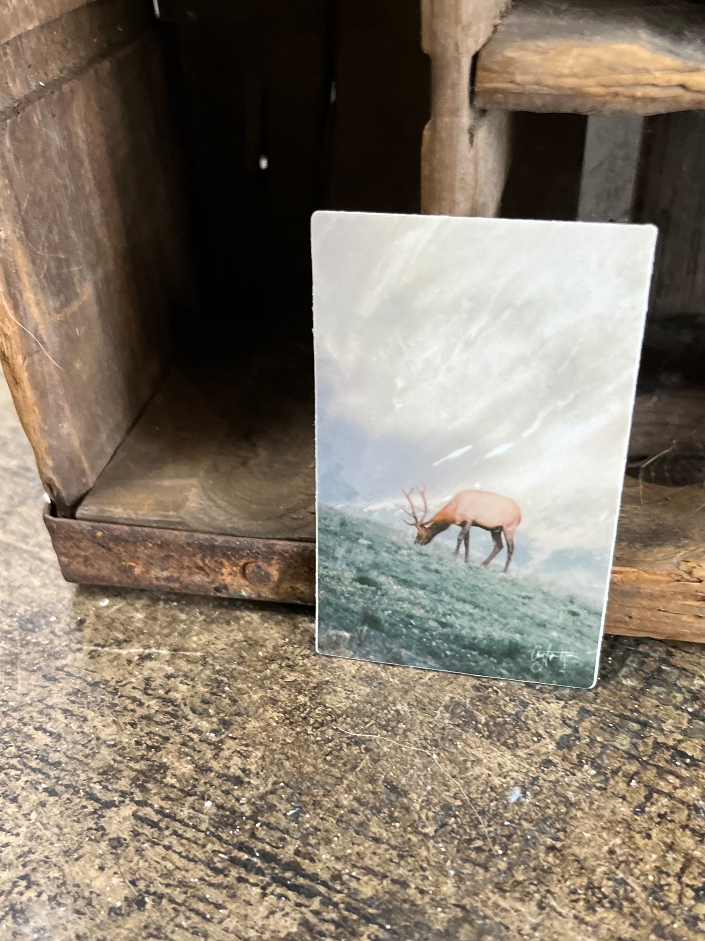 Fall River Pass in Rocky Mountain National Park - Sticker