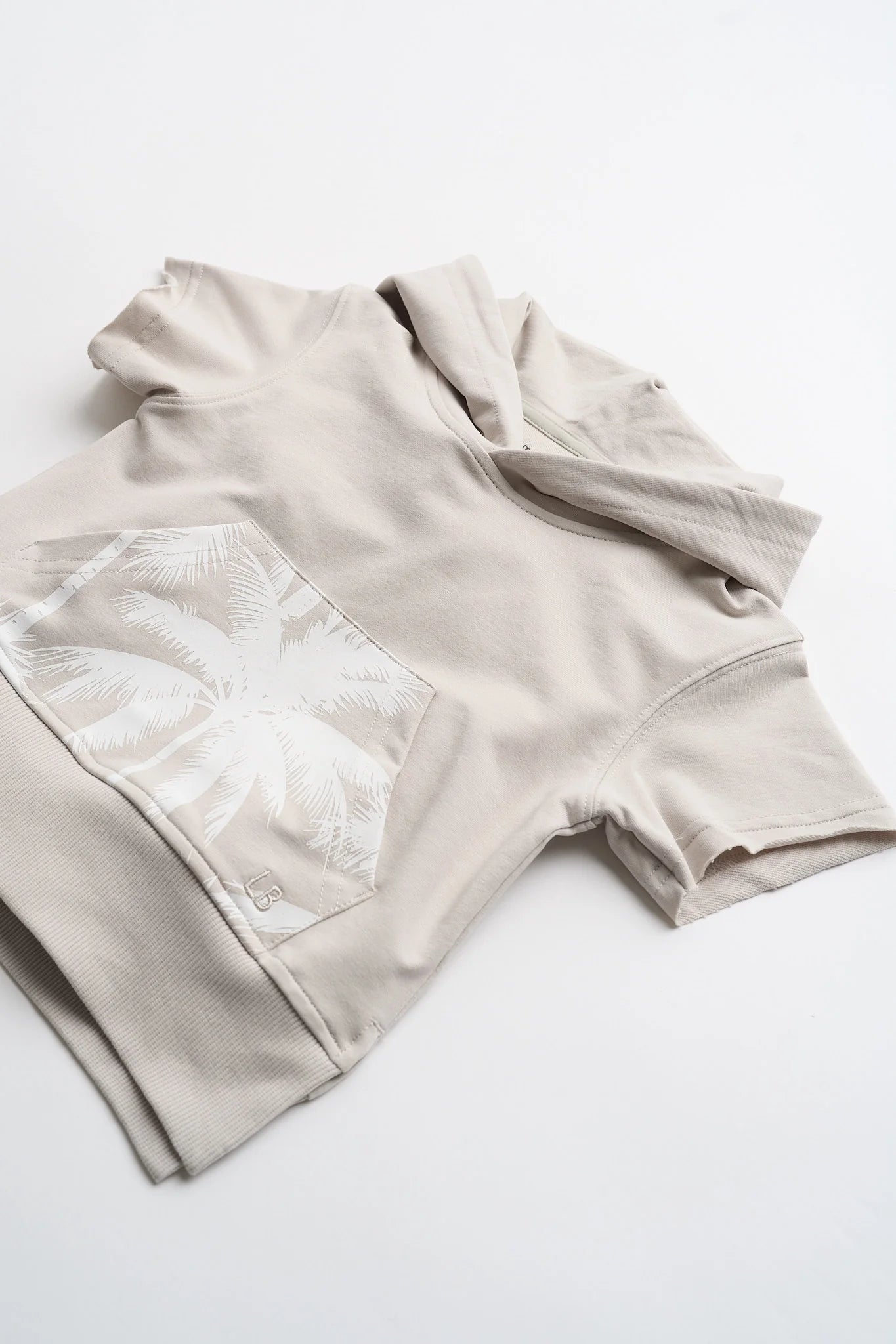 Short Sleeve Raw Edge Hoodie - Frost