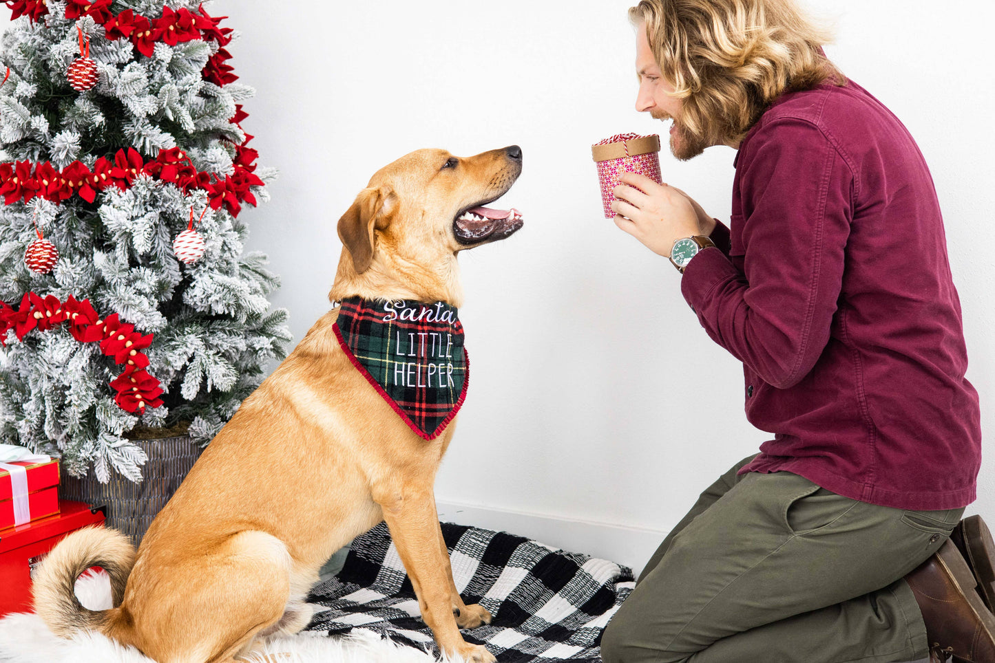 Christmas Dog Bandana - Santa's Little Helper M/L