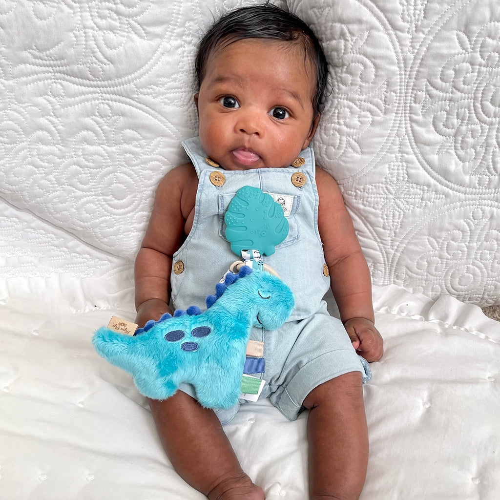 Itzy Pal™ Plush + Teether - Dino