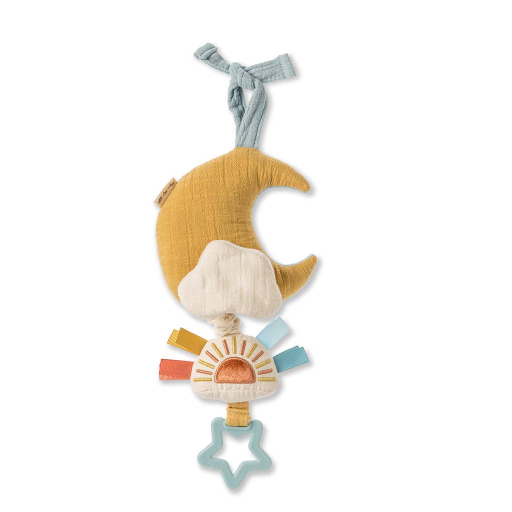 Bitzy Notes Musical PullDown Toy - Cloud/Sun