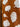 Throw - Fall Textured Pumpkins