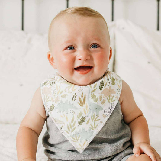 Bandana Bibs - Rex