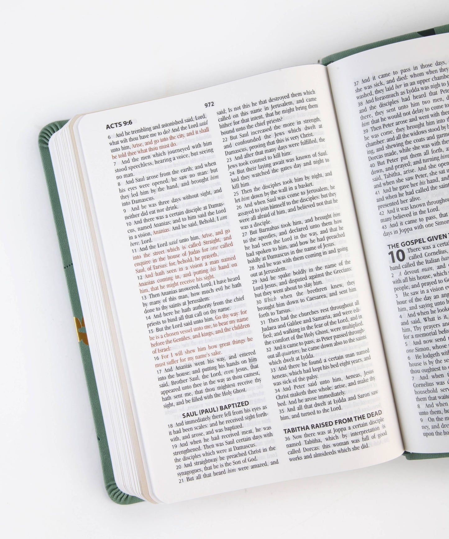The Holy Bible KJV: Prayer Map Edition
