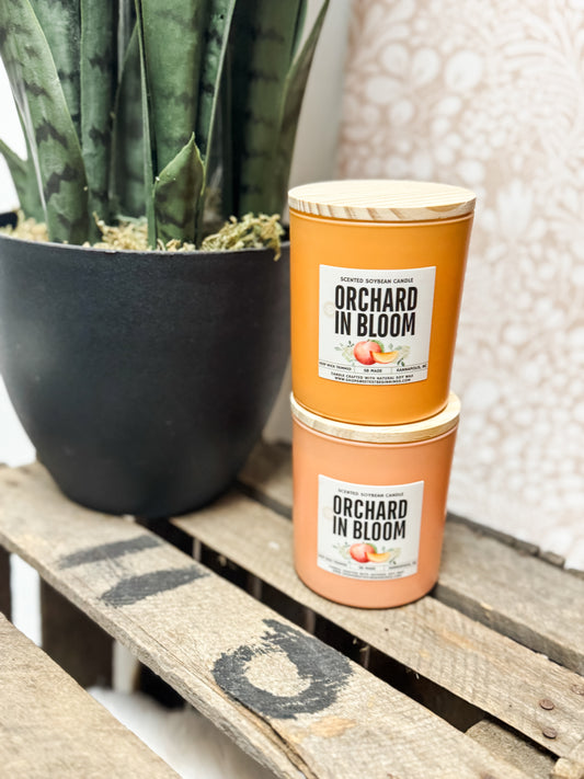 Candle - Orchard In Bloom (Apricot)