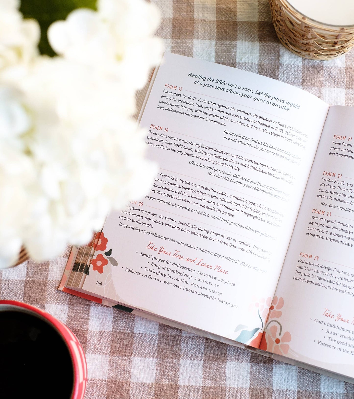 Taking Your Time through the Bible