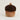 Acorn