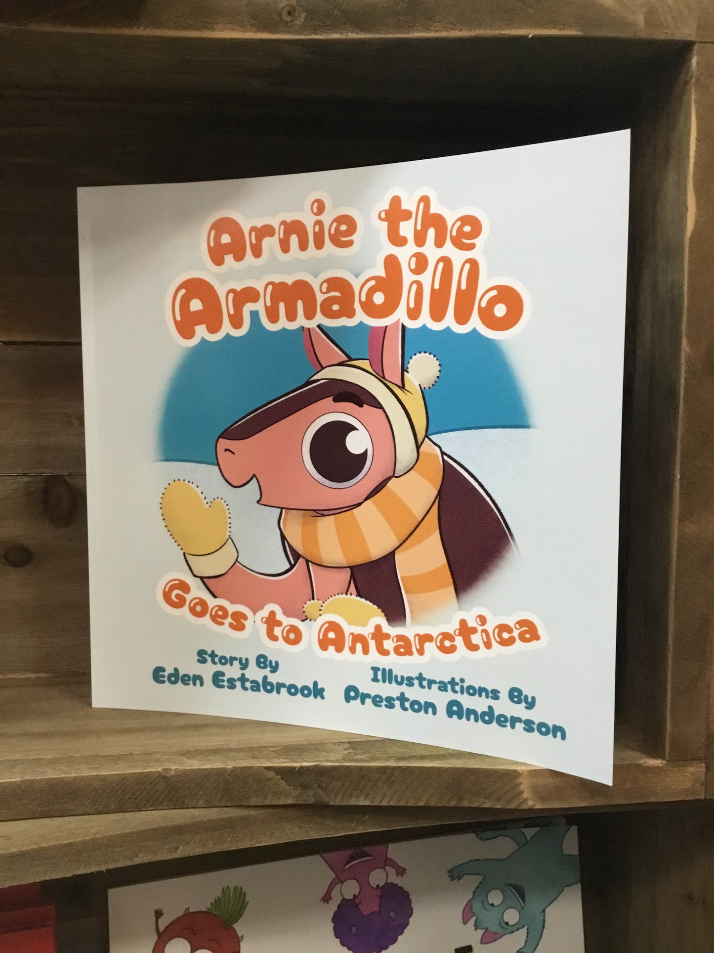 Arnie the Armadillo - Book