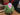 Hat Patch - Strawberry