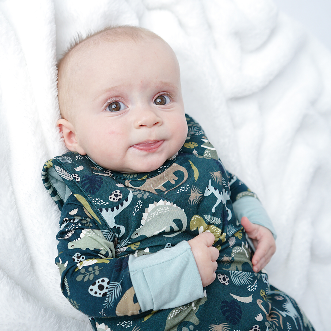 Viscose Bamboo Baby Sleep Bag: Prehistoric Friends