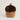 Acorn
