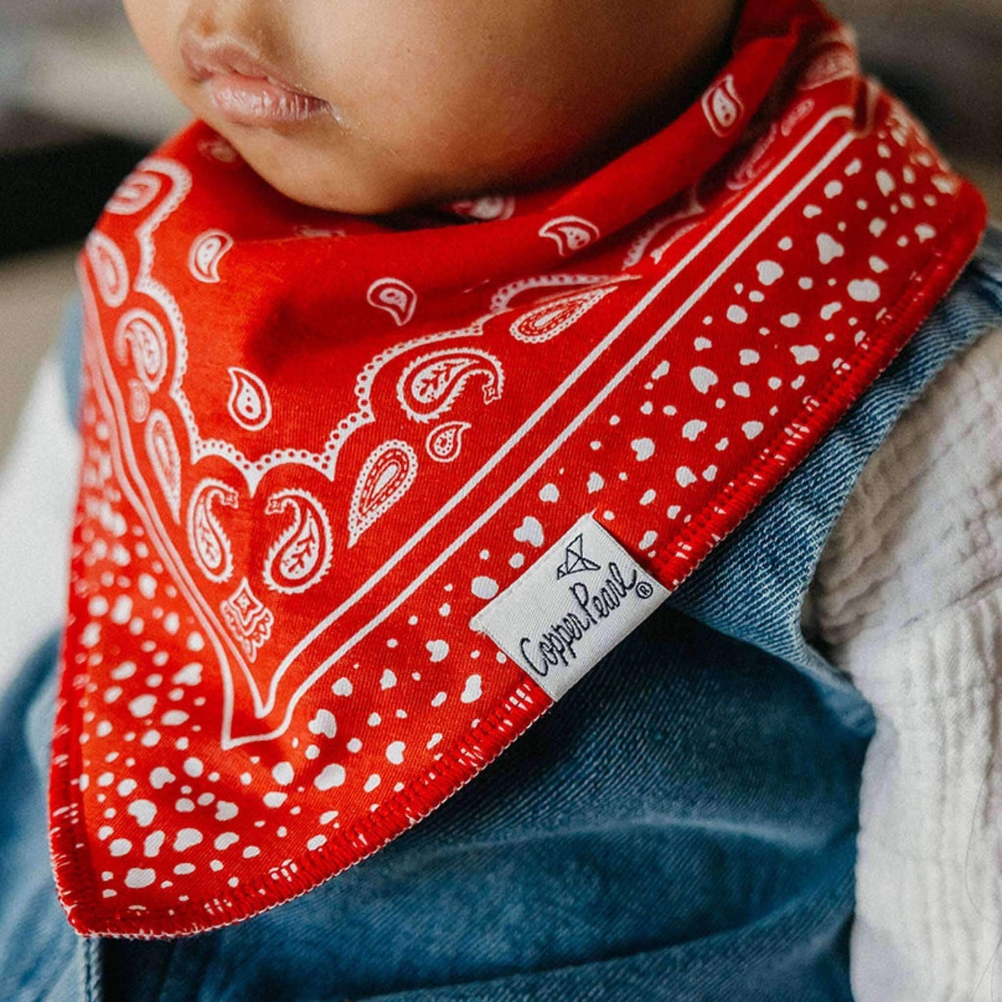 Bandana Bibs - Boone