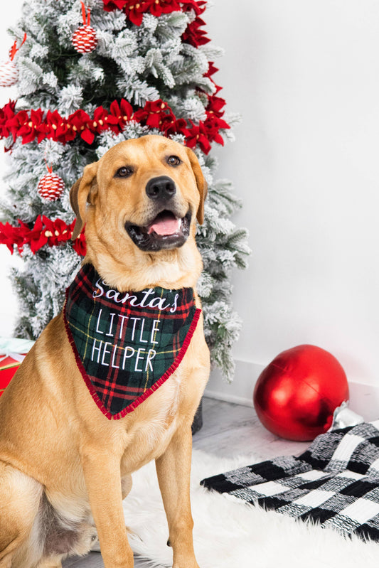 Christmas Dog Bandana - Santa's Little Helper M/L