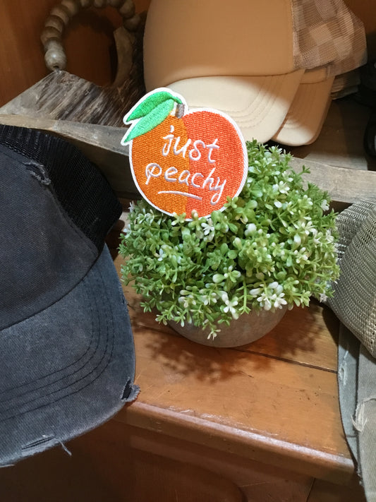 Hat Patch - Just Peachy