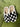 Checkered Slippers - Small/Medium