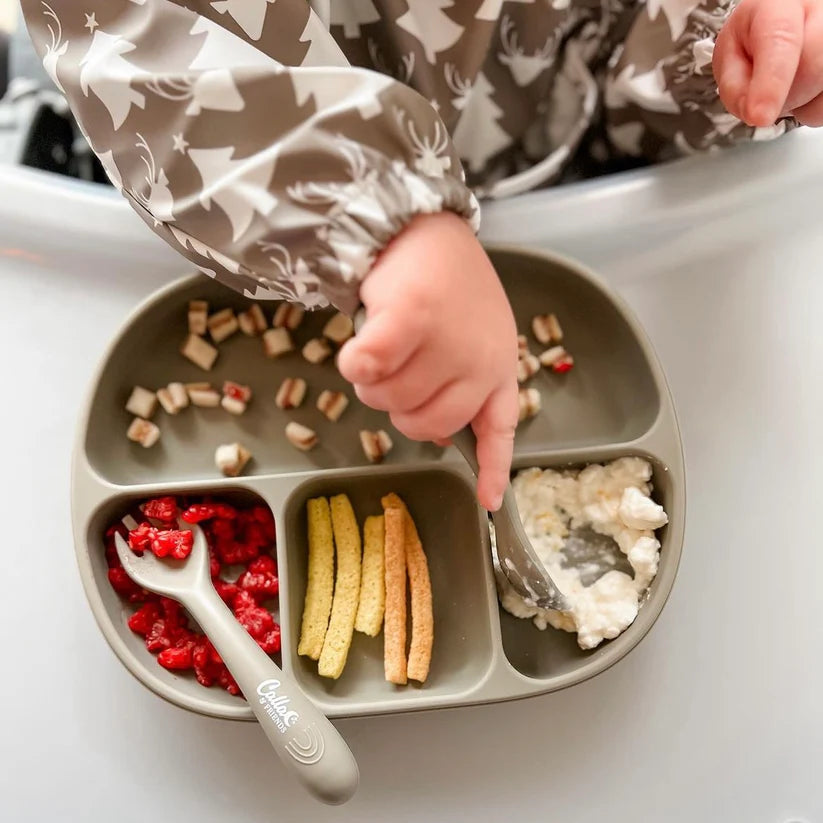 4 Section Suction Plate - Fawn