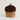 Acorn