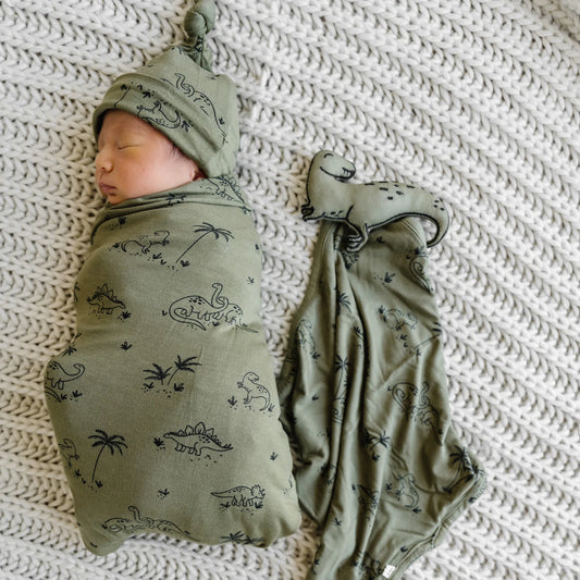Brave Little Ones Swaddle - Dinosaurs