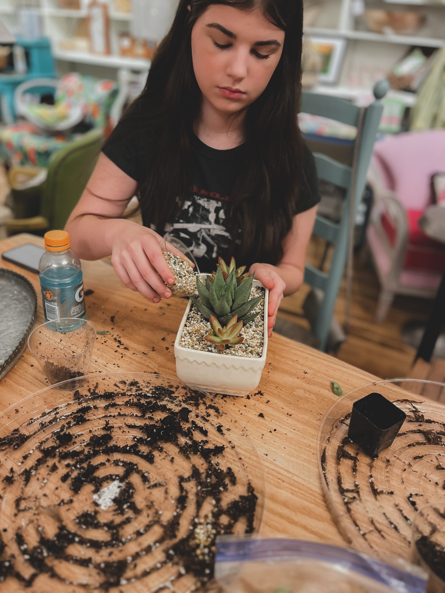 Succulent Bowl